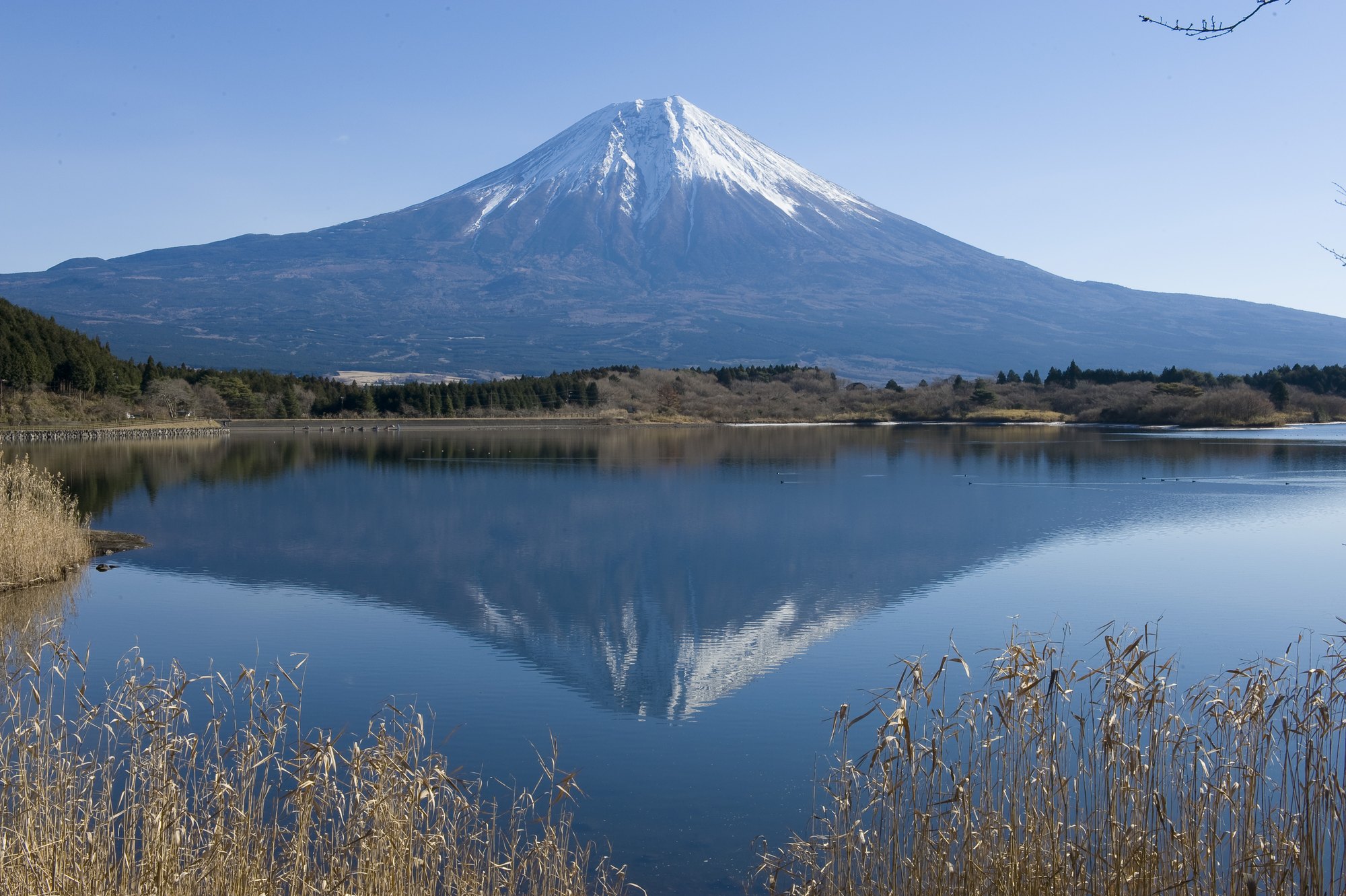 東京、箱根、京都、大阪6日**三大樂園の3~4星酒