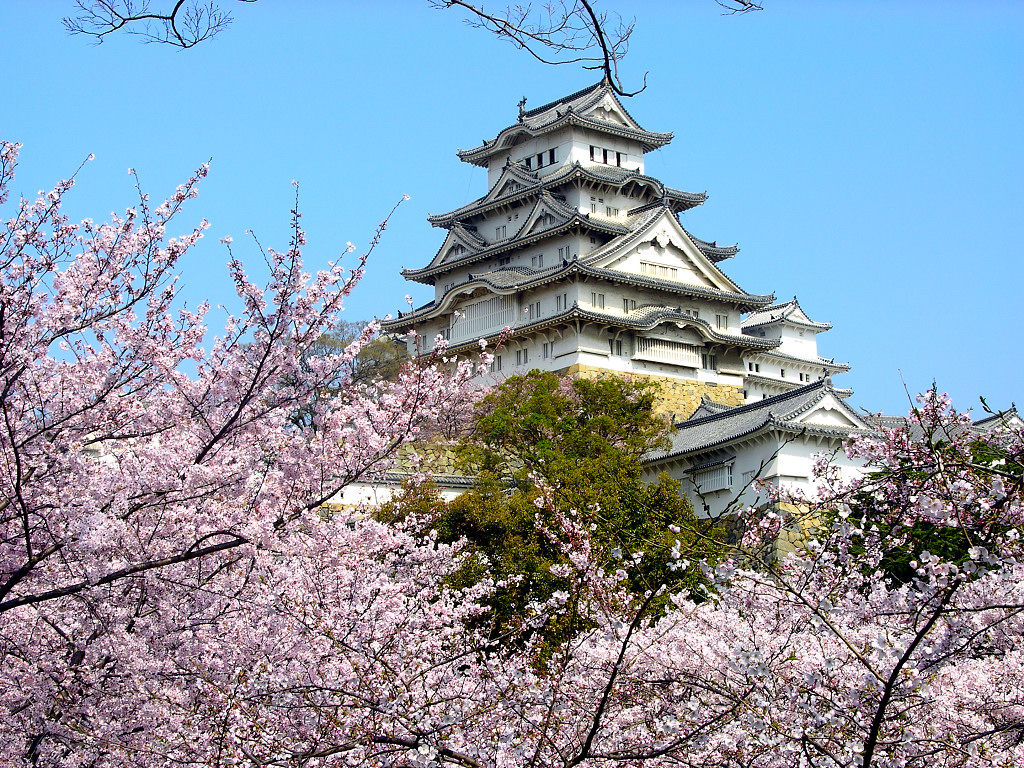 東京、箱根、大阪、京都、奈良6日~~大阪進東京
