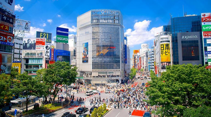 東京、箱根、伊豆半島、東京1天自由行6日