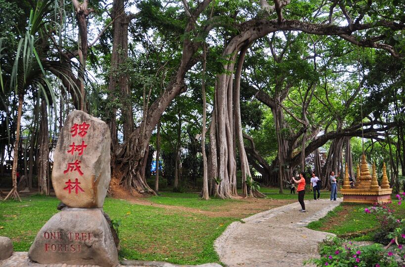 大理、騰沖、芒市雙飛6日